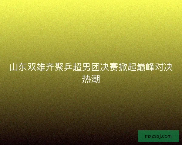 山东双雄齐聚乒超男团决赛掀起巅峰对决热潮